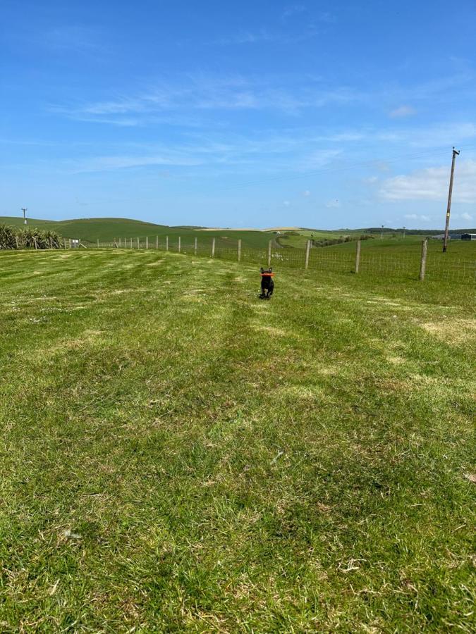 Bunnahabhain 5 - Farm Stay - Stunning Sea And Rural Views Stranraer Exterior photo